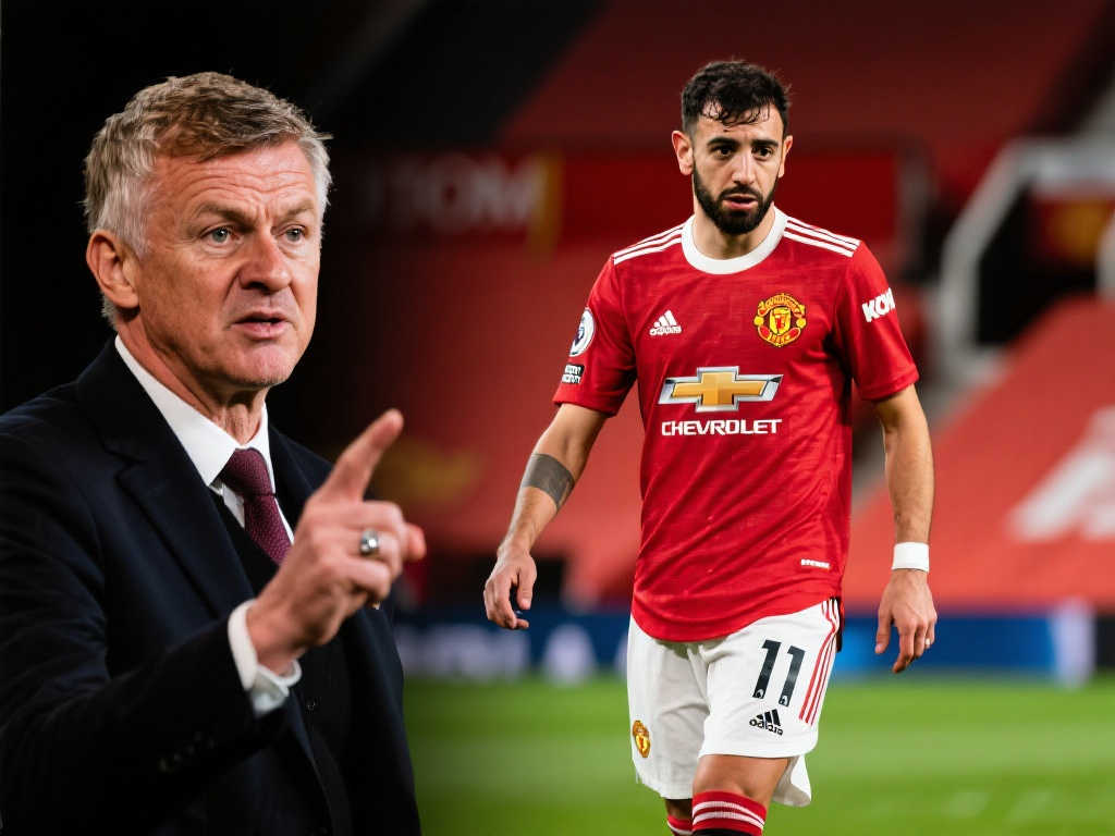 涯的布局 涯的布局